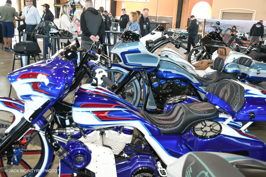 Sea of Custom Baggers from Southern Country Customs